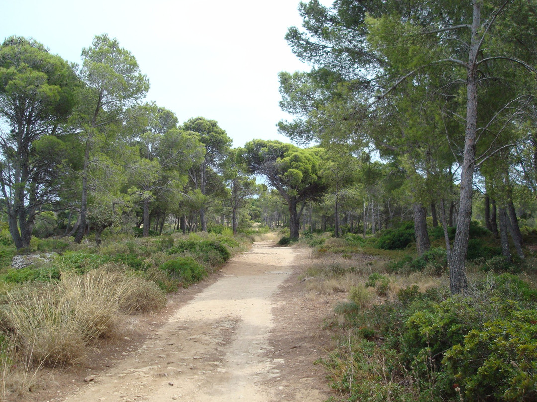 Reserve Naturelle Sainte Lucie-Port La Nouvelle必去景点