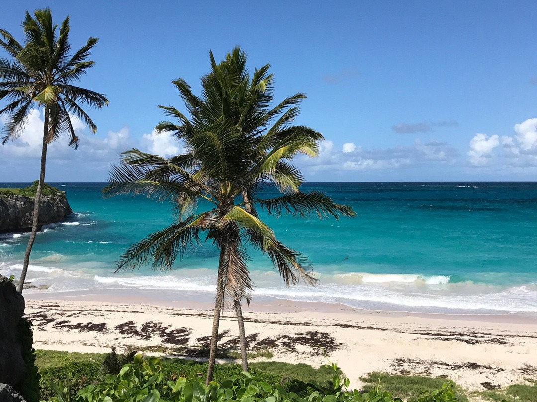Cave Bay-Bottom Bay必去景点
