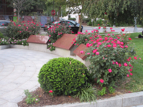 Mahatma Gandhi Statue-华盛顿特区必去景点