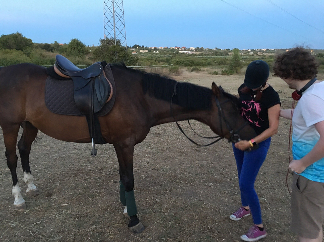 Horse Riding Zadar-扎达尔必去景点