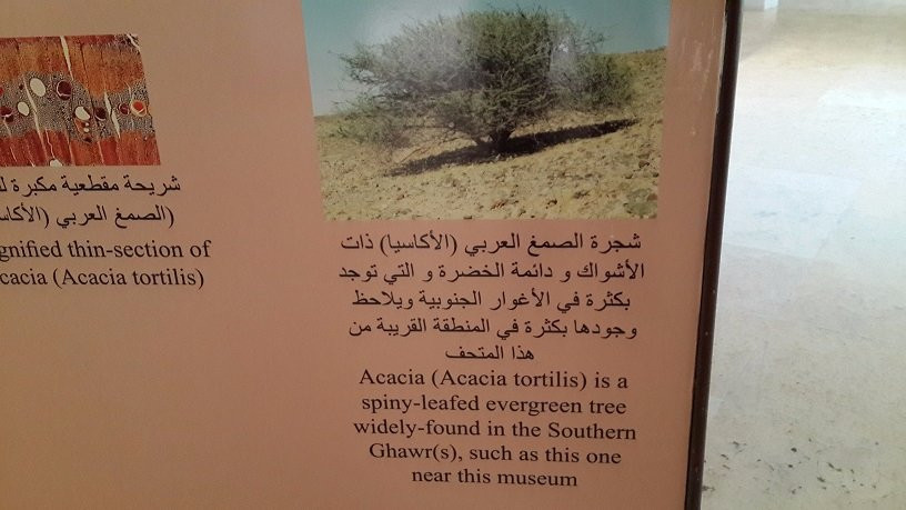 The Museum at the Lowest Place on Earth-Safi必去景点