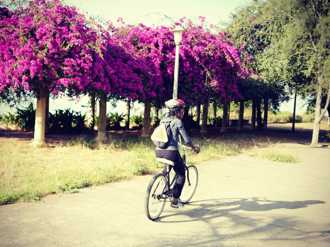 Bike & Saddle Trips-马布多必去景点