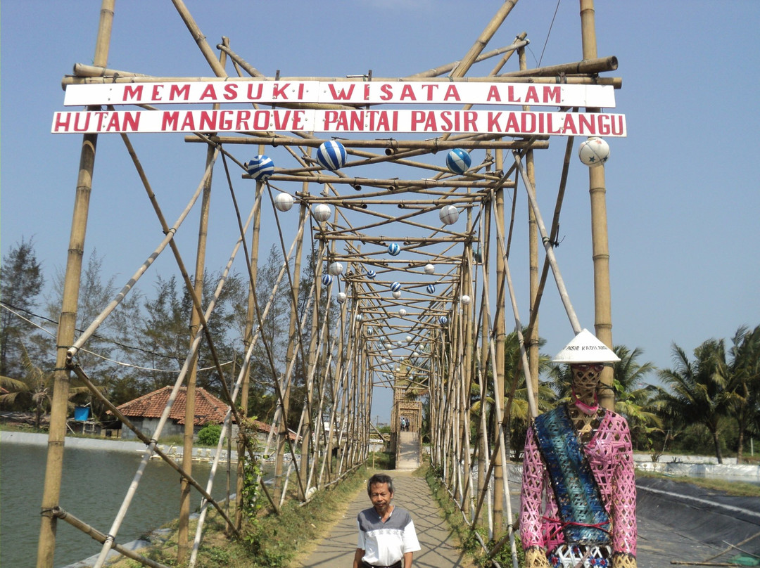 Mangrove Forest Kulon Progo-Kulon Progo必去景点