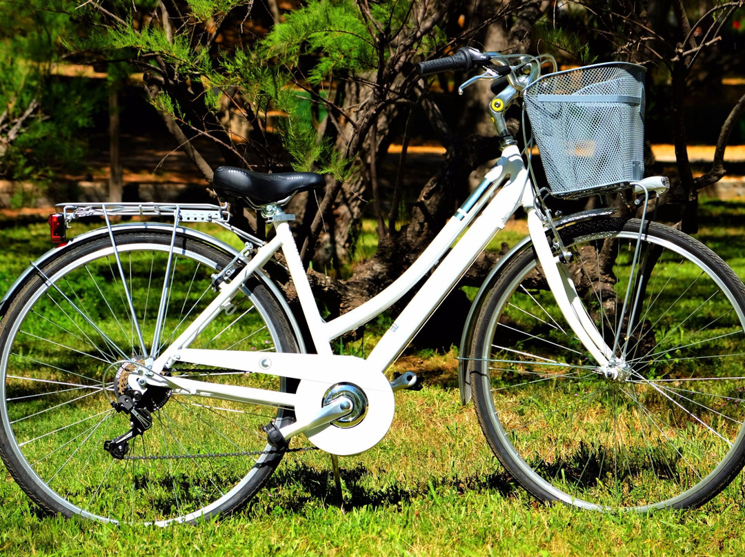 Xtreme Sport & Co - Bike and Scooter Rentals-阿尔盖罗必去景点