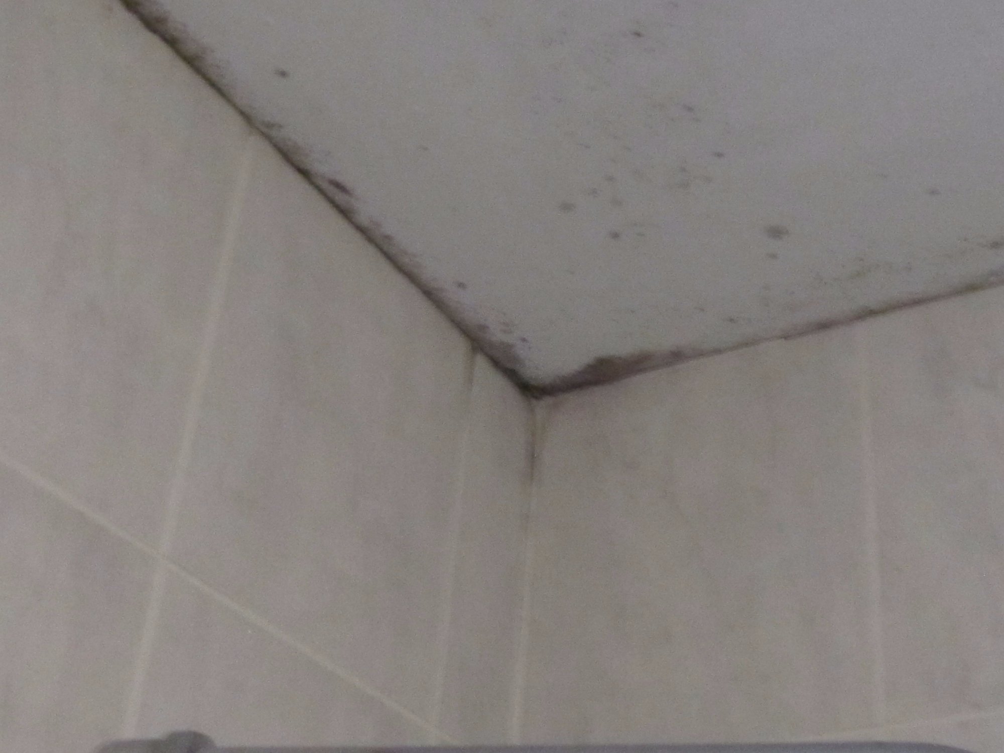 OYO Lochinvar Hotel-浴室