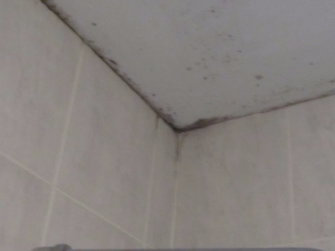 OYO Lochinvar Hotel主图