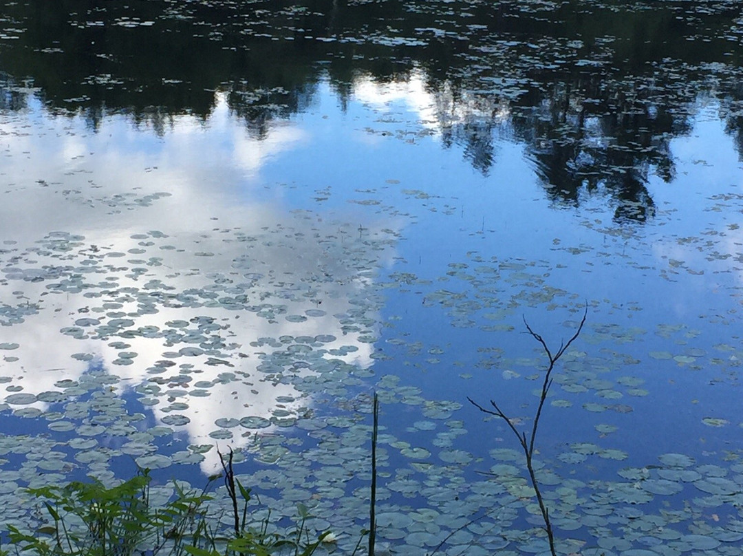 Nashua River Rail Trail-Ayer必去景点