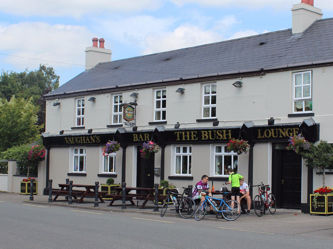 The Bush Pub-Ballysax必去景点