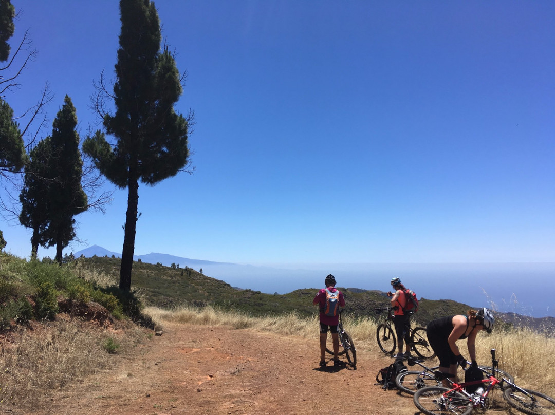 BIKERS INN - best bikes and more-Valle Gran Rey必去景点