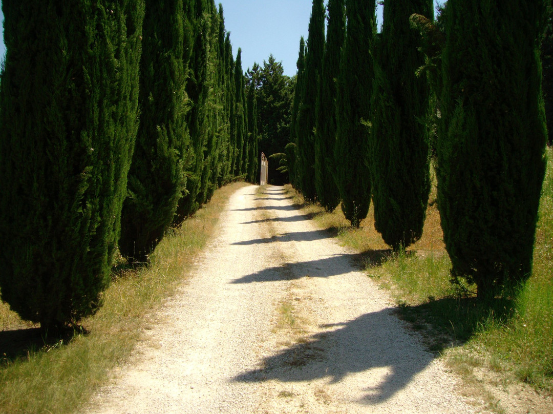 Gaglioli酒店住宿-Il Grotto