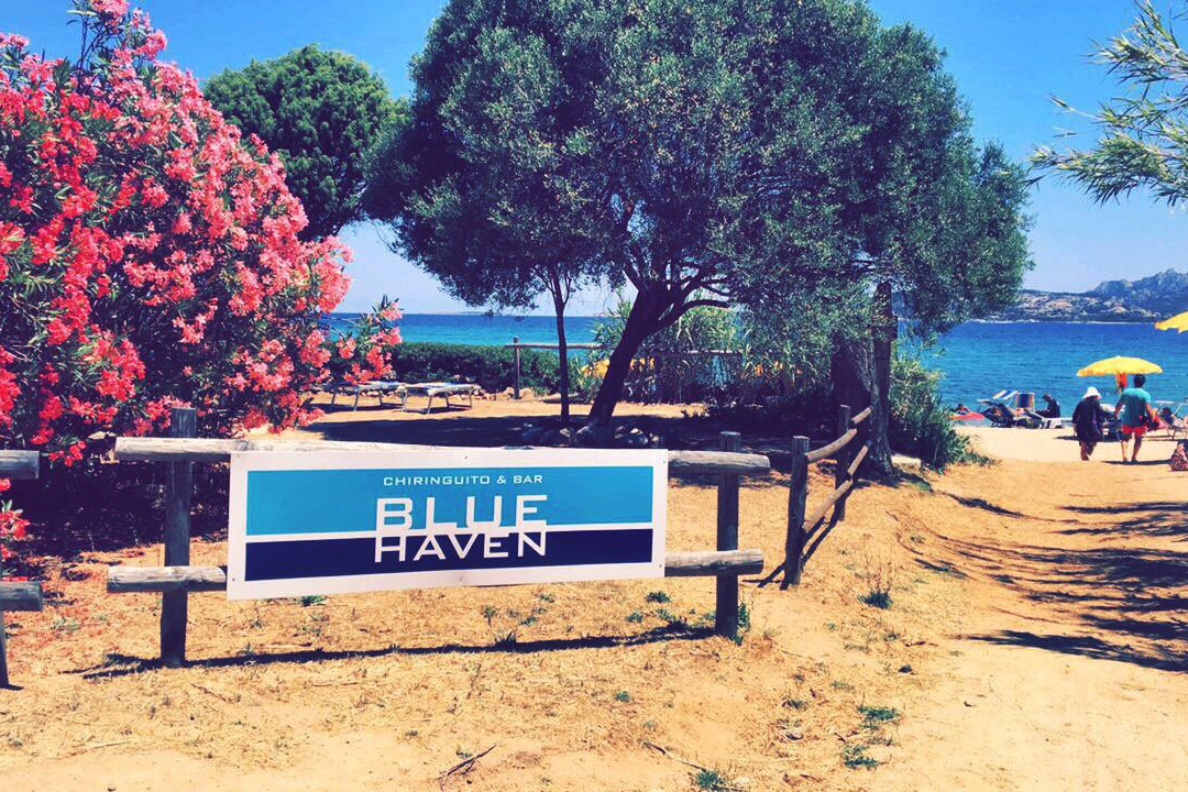 Blue Haven - Chiriguito & Bar