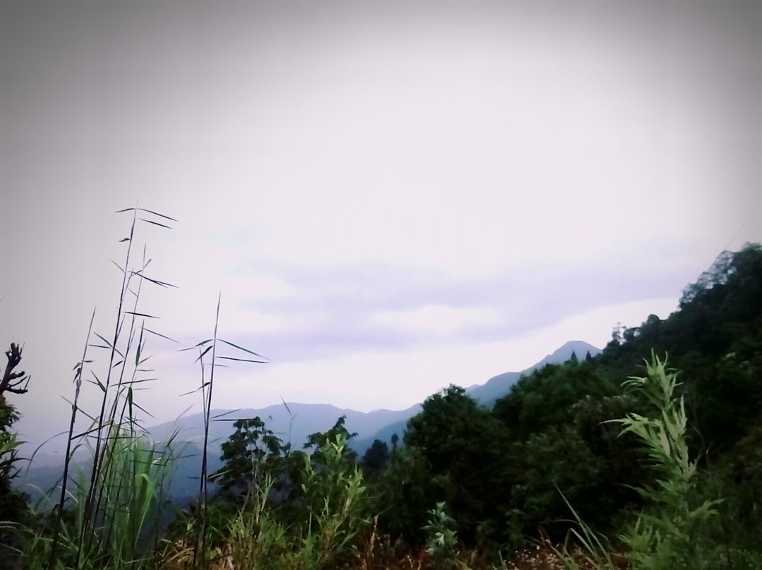 Kolakham Eco Huts主图