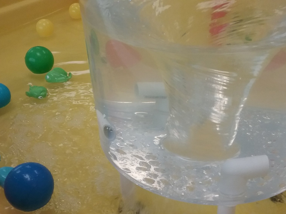 Kids Play Gym-布卢明顿必去景点