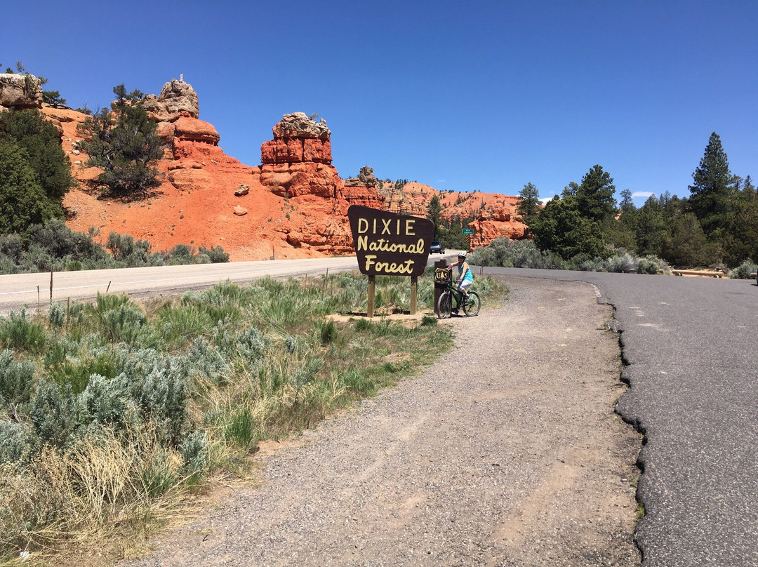 Red Canyon Campground