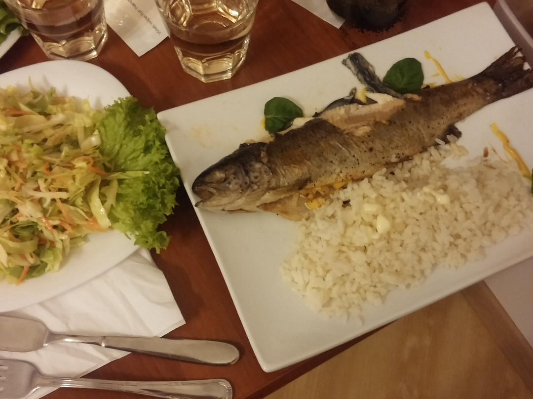 Tamaseni酒店住宿-Karpaty Hotel