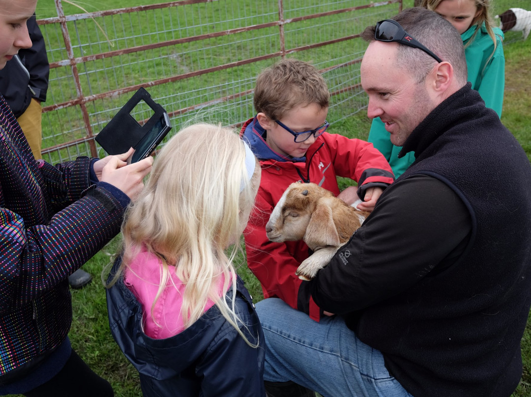 Dare 2 Dream Farm-Kendal必去景点