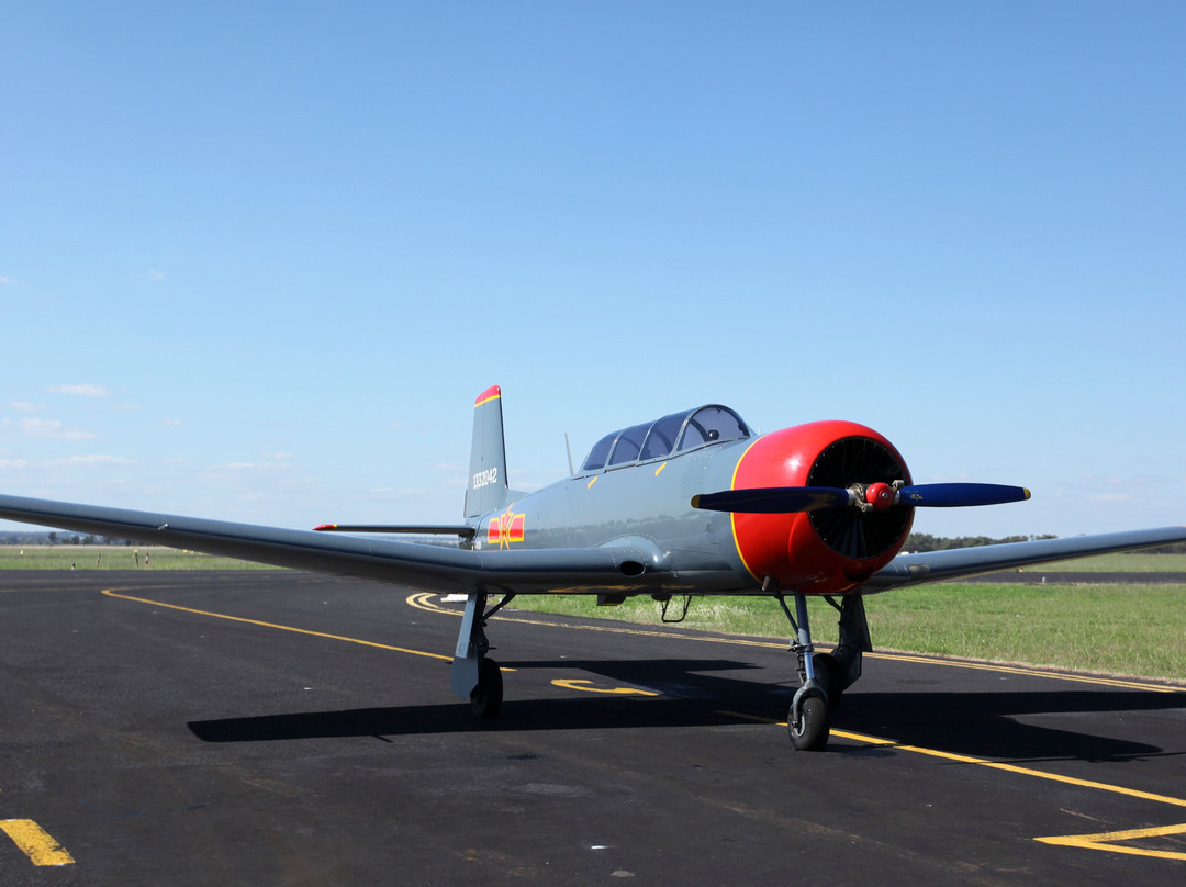 Warrior Warbirds-达博必去景点