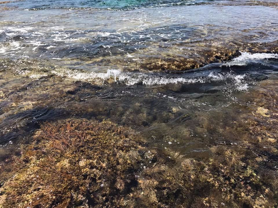 Death Pool-阿拉米诺市必去景点