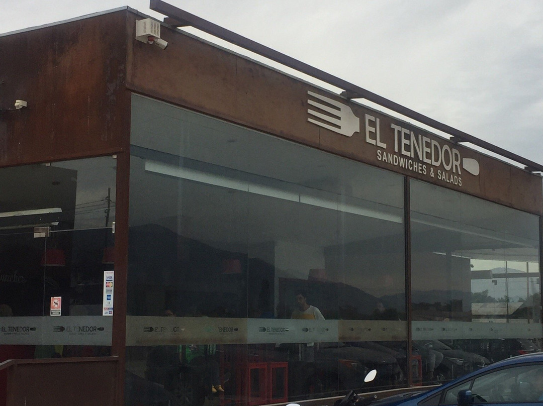 Llaillay餐馆和美食-El Tenedor