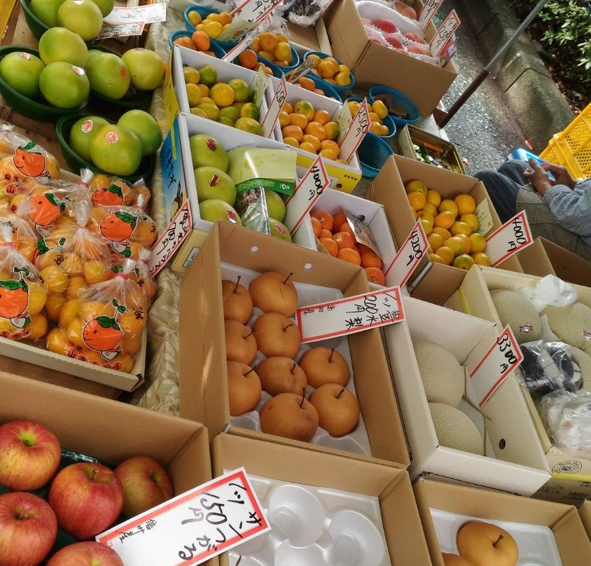 Thursday City-高知市必去景点