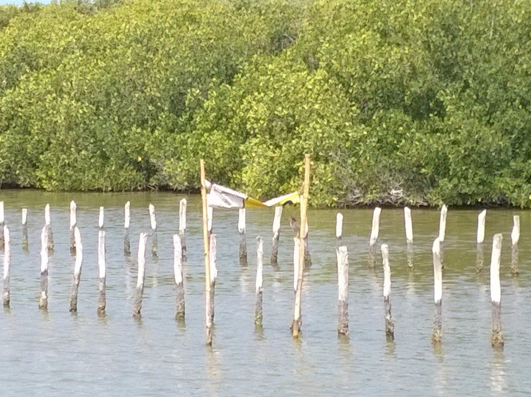 La Ria  Parador Turistico-Progreso必去景点