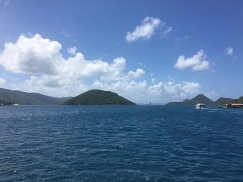 Dolphin Water Taxi-圣 托马斯必去景点