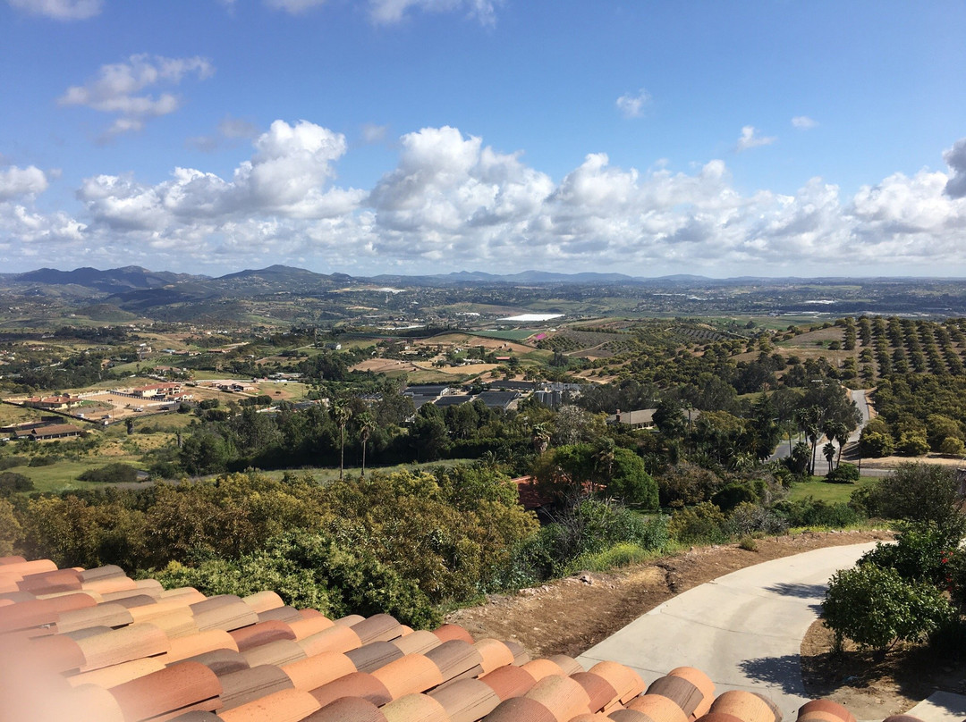 Beach House Winery-欧申赛德必去景点