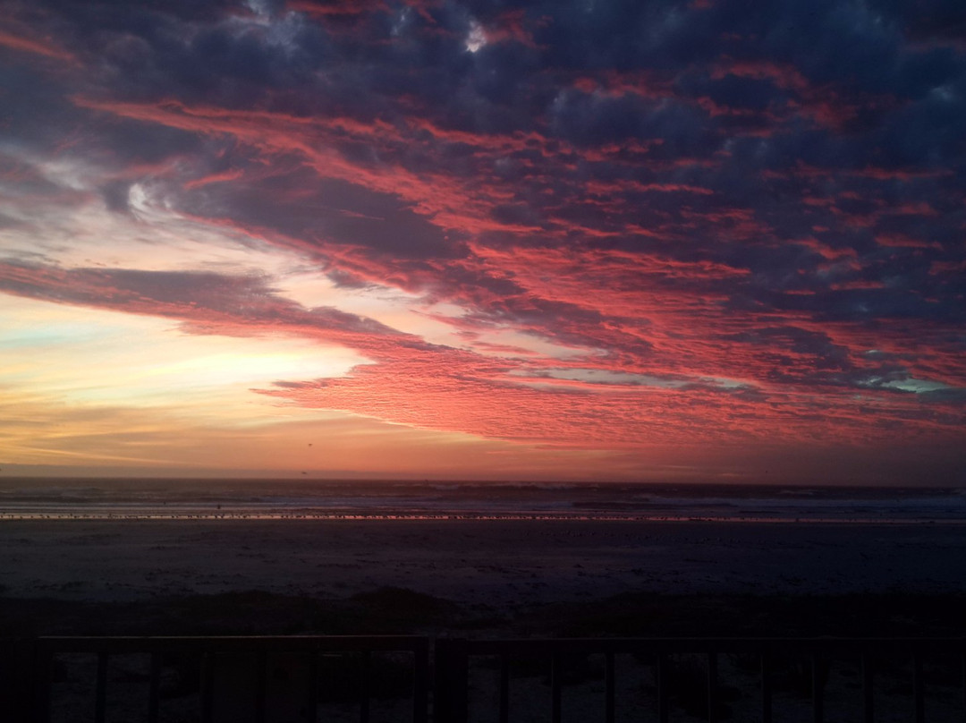 West Coast Way-开普敦中心区必去景点