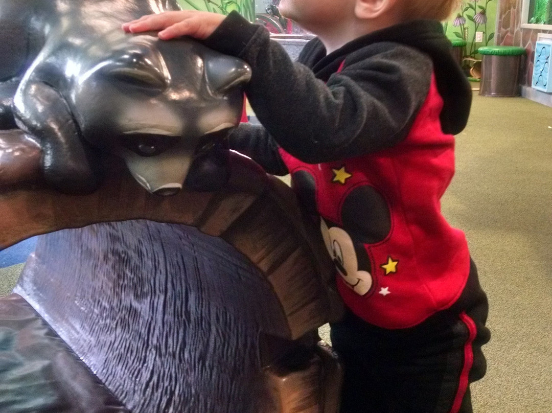Children's Museum of Eau Claire-欧克雷尔必去景点