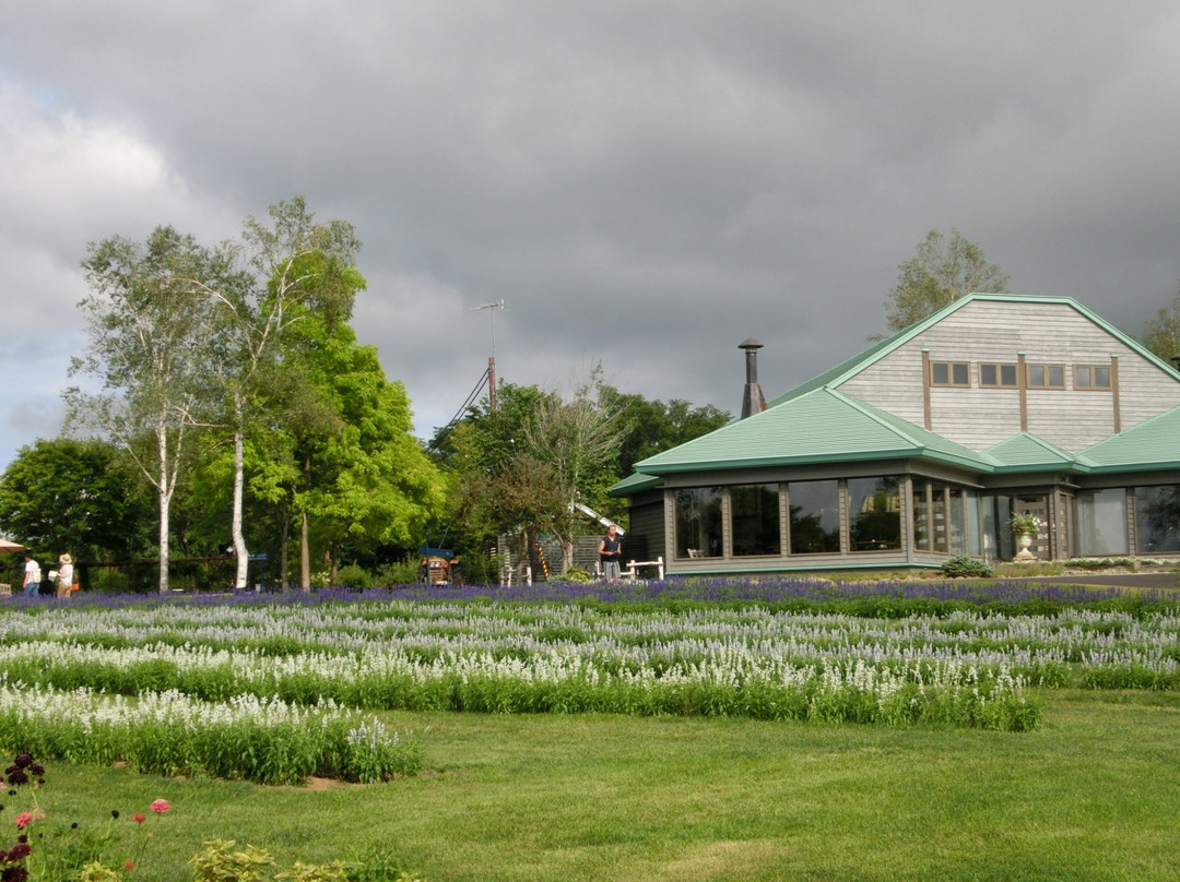 Tokachi Hills-幕别町必去景点
