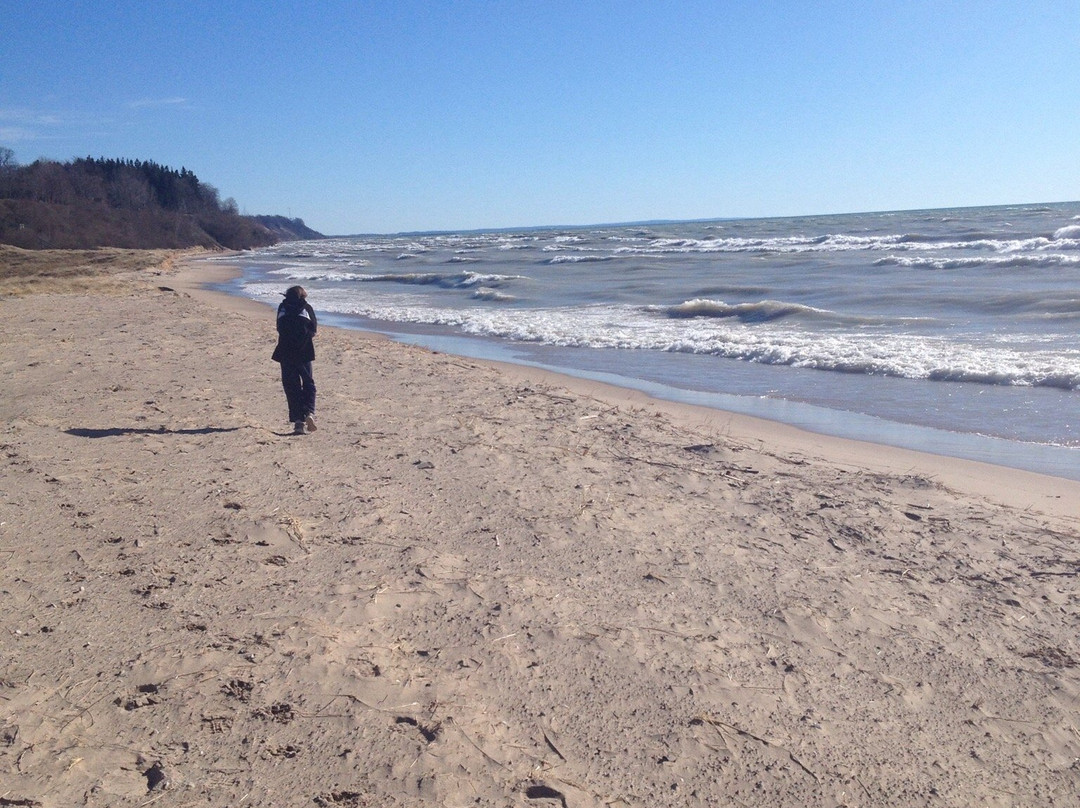 Buttersville Park-拉丁顿必去景点