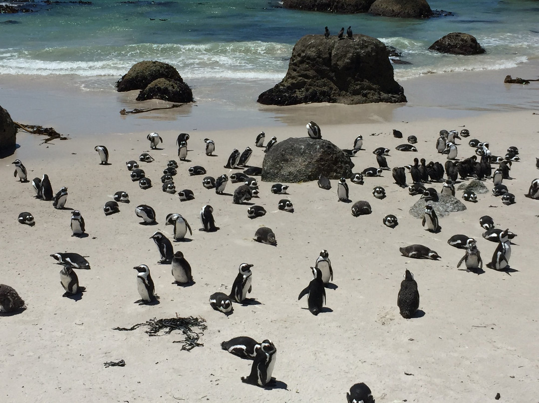 FS Tours - Day Tours-Kenilworth必去景点