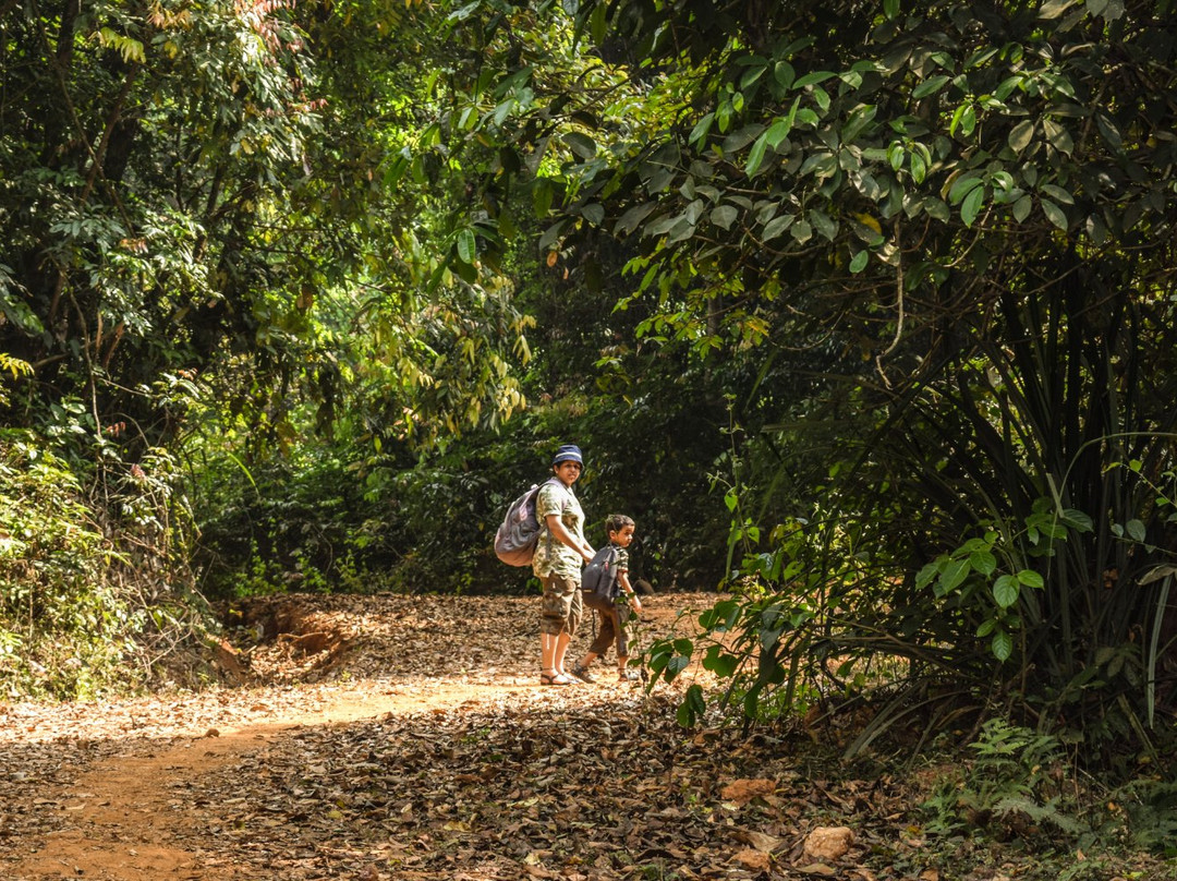 Kudajadri Hills-Shimoga必去景点