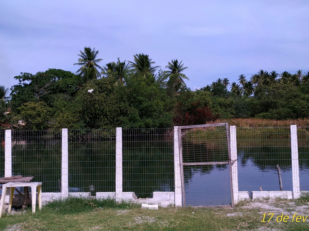 Bar e Restaurante Peixada Do Sebal