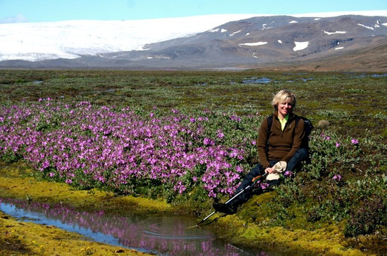 Wanderlust-雷克雅未克必去景点