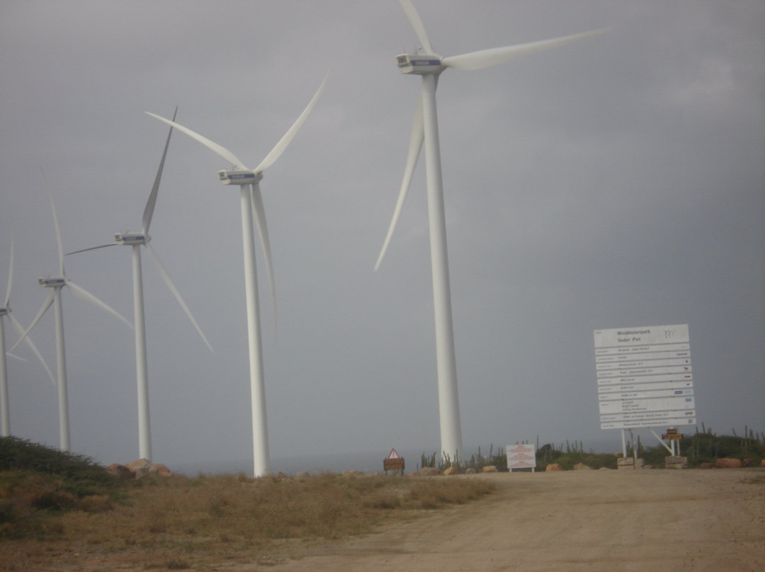 Vader Piet Wind Farm-Santa Cruz必去景点