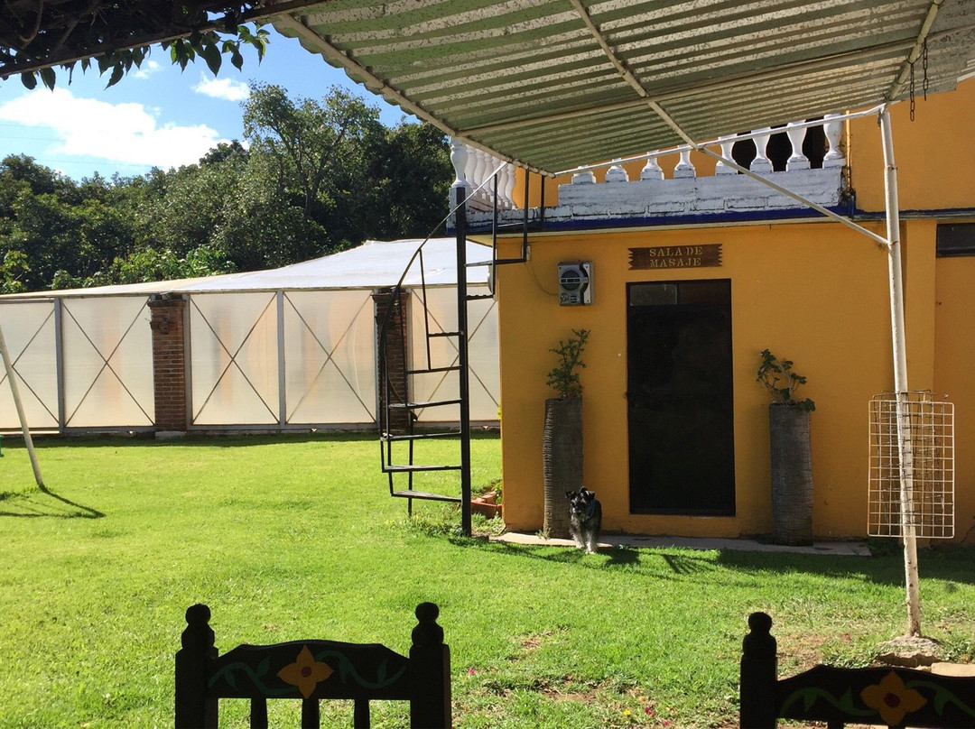 Hotel Ecológico Quinta La Joya主图