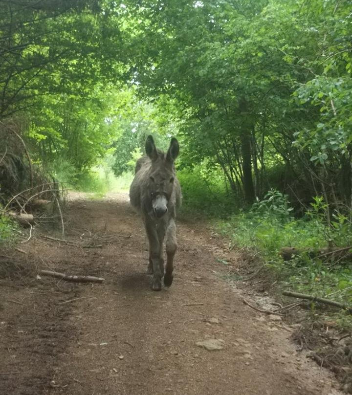 L'Ecrin de Brierat-Saint-Priest-la-Prugne必去景点