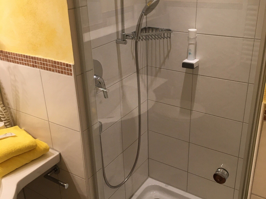 Landgasthof Berghof主图