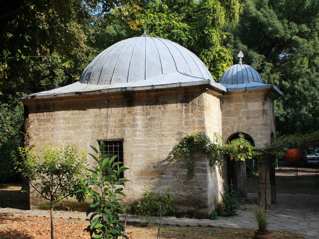 Dzhamiya and Library-Vidin必去景点