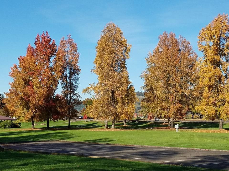 River Forks County Park景点图片