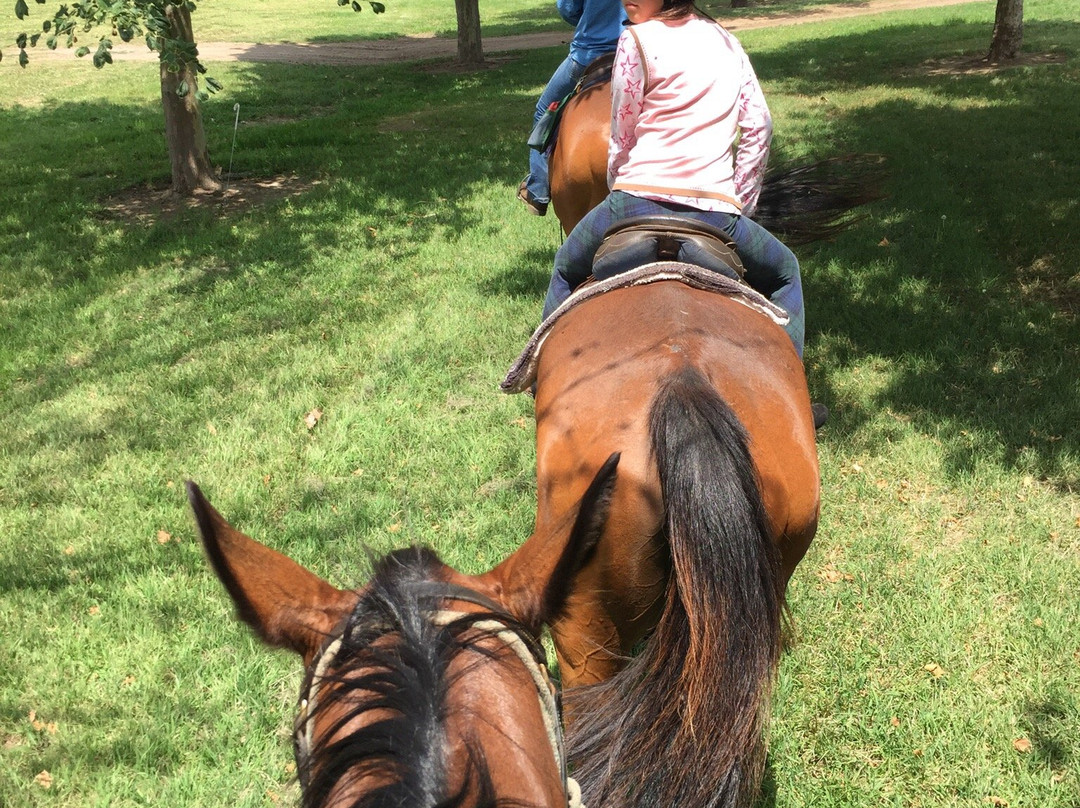 Sydney Trail Riding Centre景点图片
