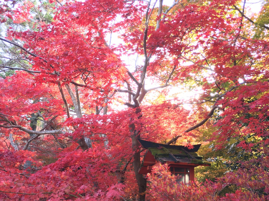 Kuwayama Shrine-龟冈市必去景点