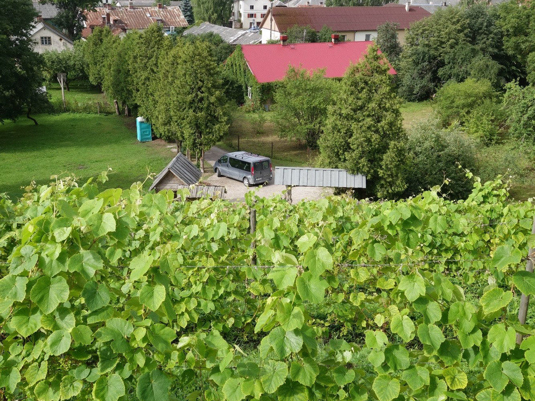 Sabile Wine Mountain-Sabile必去景点