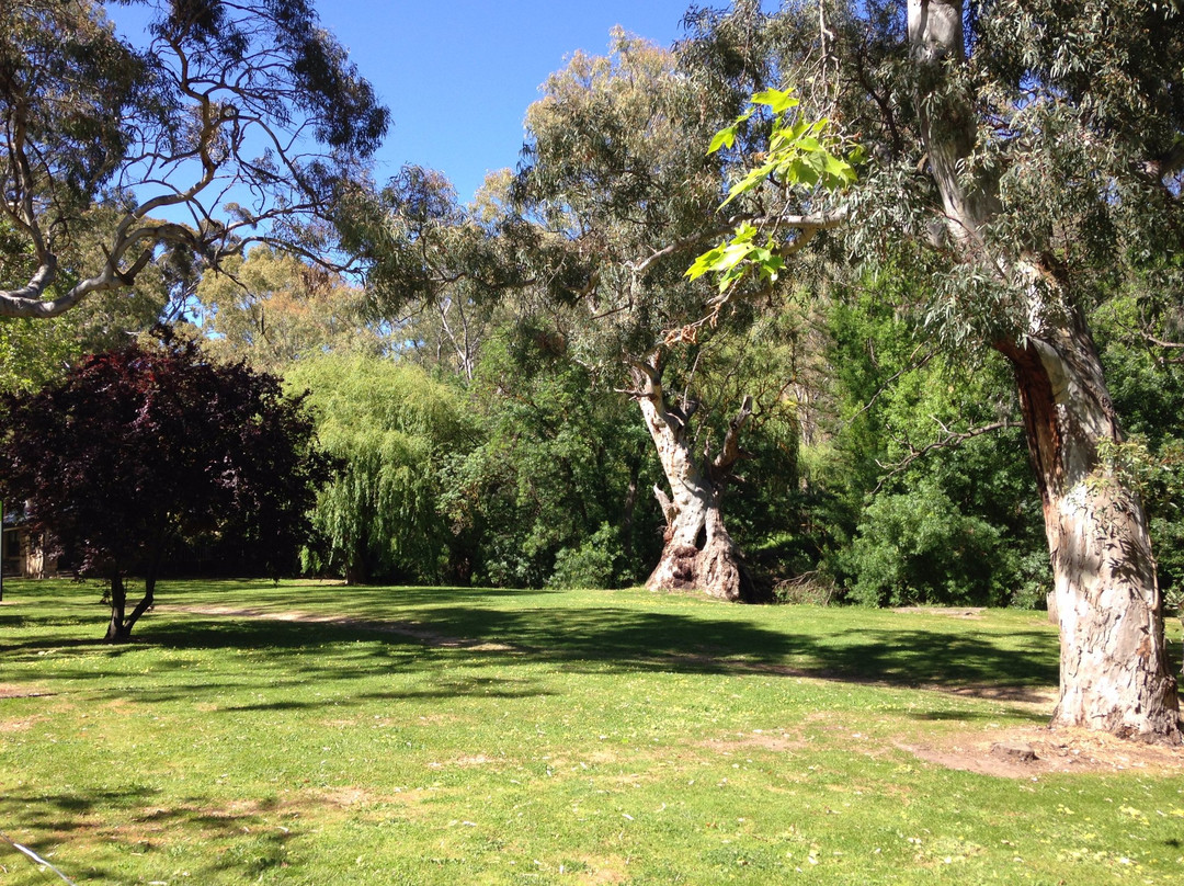 Brownhill Creek Recreation Park景点图片