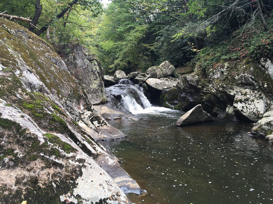 Bottom Creek Gorge-罗阿诺克必去景点