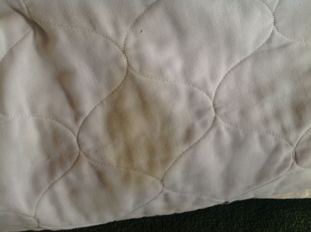 Lake Cadillac Resort主图