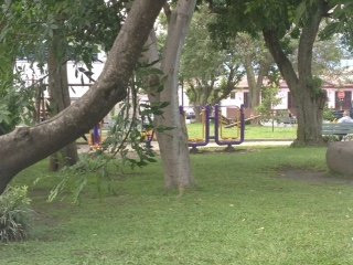 Parque municipal景点图片