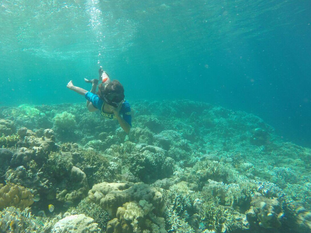 Sritanjung Tourism - Day Tour-巴纽旺宣必去景点