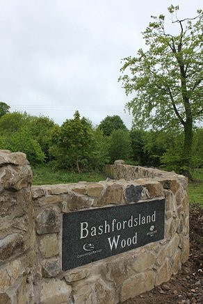 Bashfordsland Wood and Oakfield Glen景点图片
